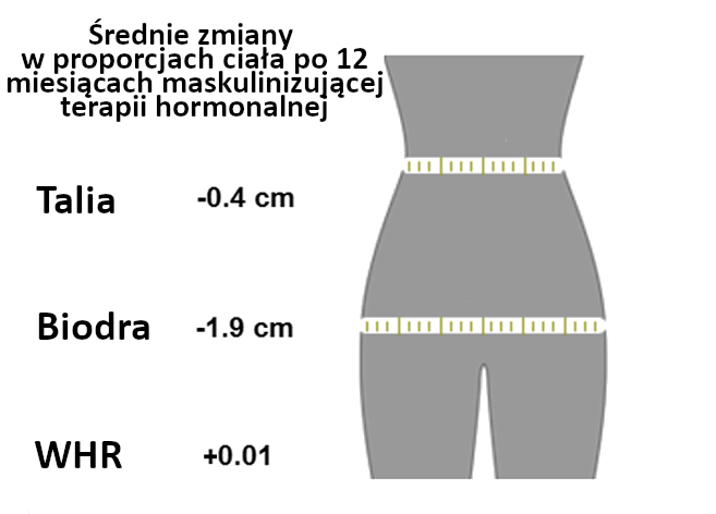 Zmiany w proporcjach ciała na maskulinizującej terapii hormonalnej